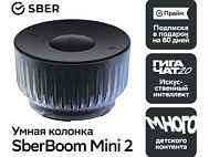 SberBoom Mini 2