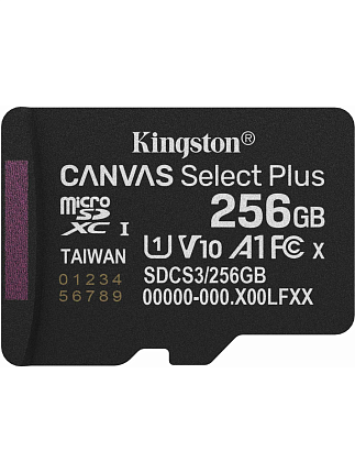 Kingston SDCS3/256GB microSDXC V10 A1 + SD Adapter